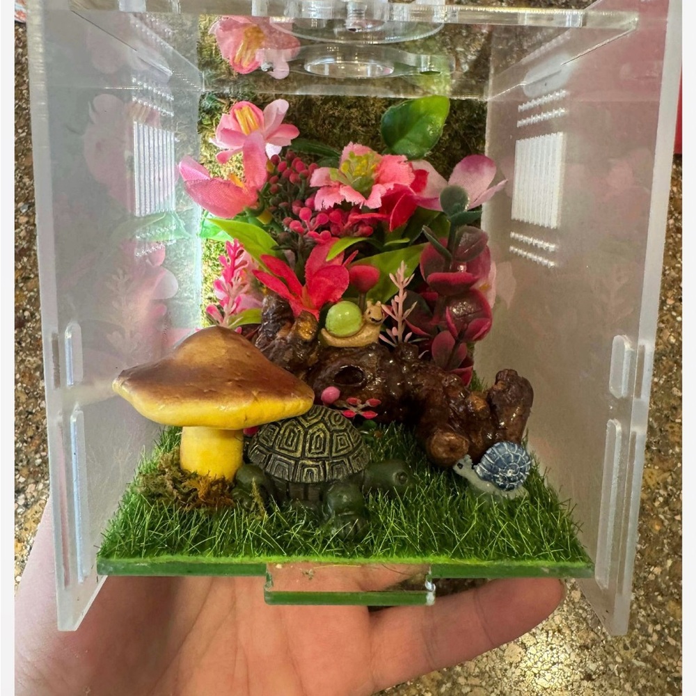 Jumping Spider Enclosure with Magnetic - Terrarium with Flowers and Turtles